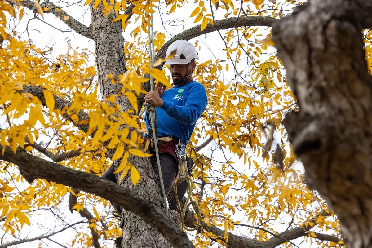 Skilled Storm Damage Cleanup crew working in Lafayette